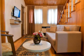 Apartment Shete
